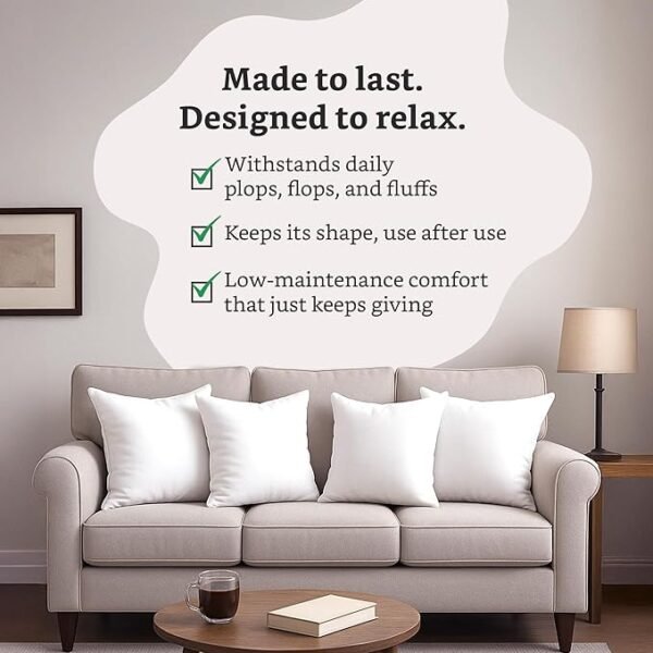 Amazon Brand - Solimo Cushion, 40.6 x 40.6 cm SINGLE