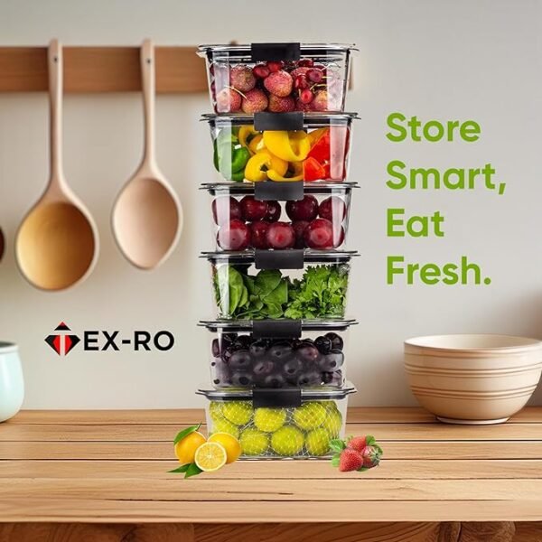 TEX-RO Air Tight Container  Organizer SINGLE